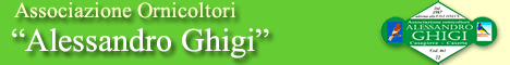 Banner 468x60 tipo b