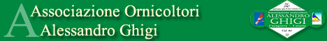Banner 468x60 C