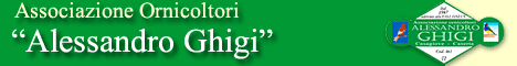 Banner 468x60 D