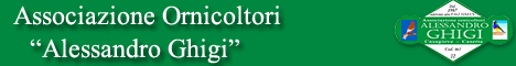 Banner 468x60