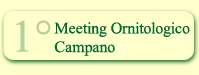 Meeting Ornitologico Campano